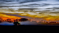 Lilley Brothers Canna Company